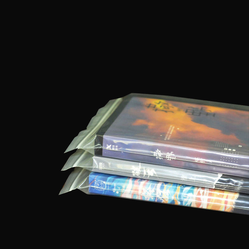 Ziplock PE Garment Plastic Bag With Logo
